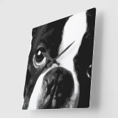 Een zwarte en blanke doodsbang van Boston Vierkante Klok (Hoek)