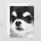Een zwarte en witte Chihuahua Briefkaart (Voorkant / Achterkant)