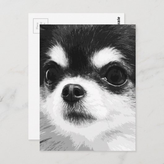 Een zwarte en witte Chihuahua Briefkaart (Voorkant / Achterkant)