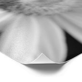 Een zwarte en witte foto van een bloem foto afdruk (Hoek)