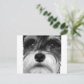 Een zwarte en witte miniatuur Schnauzer Briefkaart (Staand voorkant)