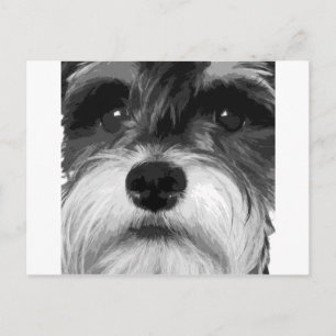 Een zwarte en witte miniatuur Schnauzer Briefkaart