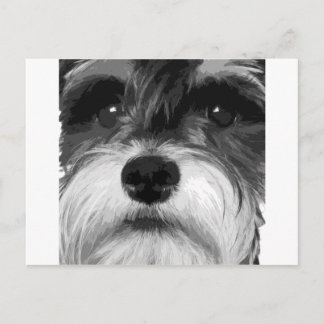 Een zwarte en witte miniatuur Schnauzer Briefkaart