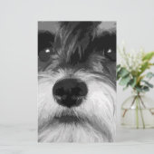 Een zwarte en witte miniatuur Schnauzer Briefpapier (Staand voorkant)