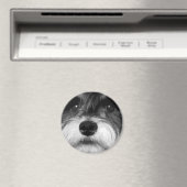 Een zwarte en witte miniatuur Schnauzer Magneet (Insitu (Vaatwasser))