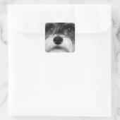 Een zwarte en witte miniatuur Schnauzer Vierkante Sticker (Tas)