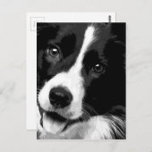 Een zwarte en witte rand collie briefkaart (Voorkant / Achterkant)