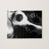 Een zwarte en witte rand collie legpuzzel (Horizontaal)