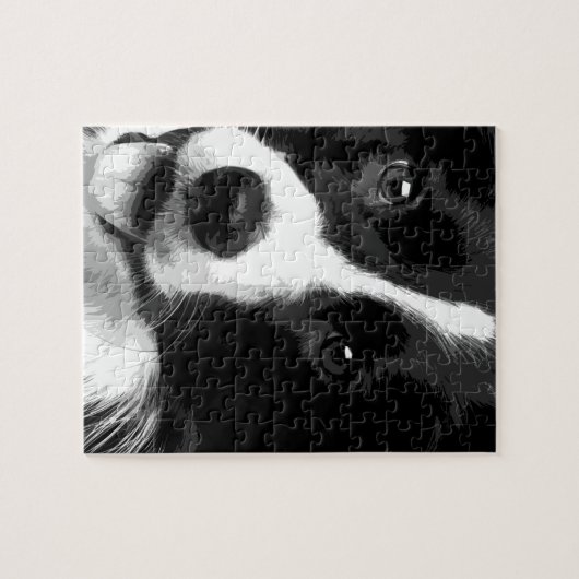 Een zwarte en witte rand collie legpuzzel (Horizontaal)