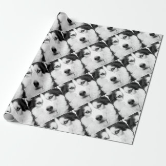 Een zwarte en witte Siberische husky Cadeaupapier