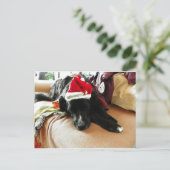 Een zwarte Hond bij Kerstmis met Zijn Pet van de Feestdagenkaart (Staand voorkant)
