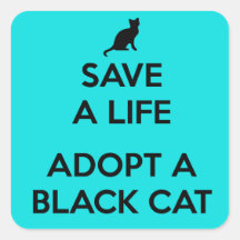 Een zwarte kat aannemen