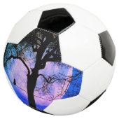 Een zwarte kat op een draad Volle maan Voetbal (Drie kwart)