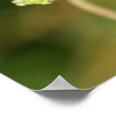 Een zwarte lieveheersbeestje met rode stippen  poster (Hoek)