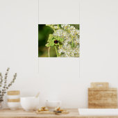 Een zwarte lieveheersbeestje met rode stippen  poster (Keuken)