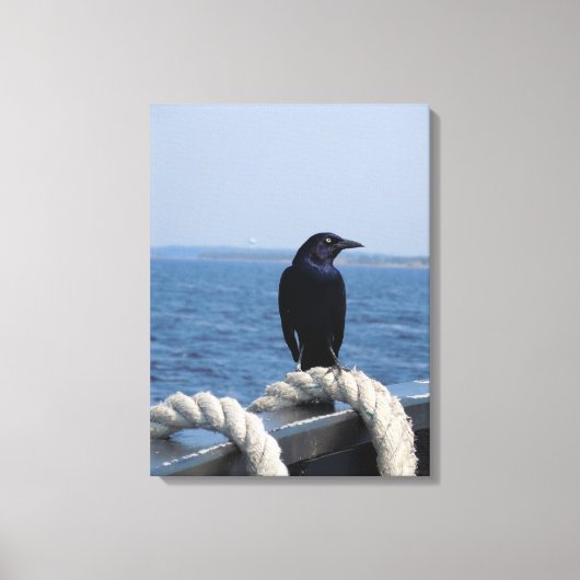 Een zwarte vogel op de veerboot canvas afdruk (Voorkant)
