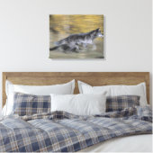 Een zwarte wolf op de vlucht canvas afdruk (Insitu (Slaapkamer))