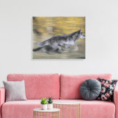 Een zwarte wolf op de vlucht canvas afdruk (Insitu (Woonkamer))