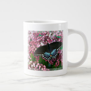 Een Zwavelvlinder   In De Phoebis Familie Grote Koffiekop
