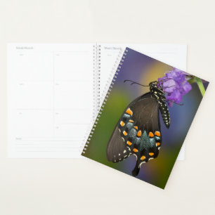 Een zwavelvlinder planner