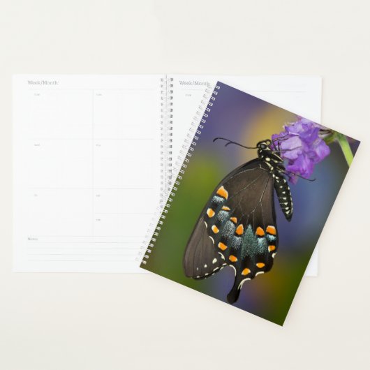 Een zwavelvlinder planner (Display)