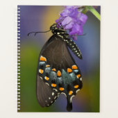 Een zwavelvlinder planner (Voorkant)
