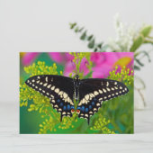 Een zweetstaart-Butterfly landing Bedankkaart (Staand voorkant)