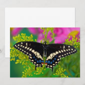 Een zweetstaart-Butterfly landing Bedankkaart (Voorkant / Achterkant)