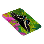 Een zweetstaart-Butterfly landing Magneet (Rechterzijde)