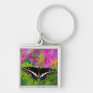 Een zweetstaart-Butterfly landing Sleutelhanger