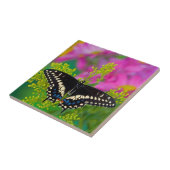 Een zweetstaart-Butterfly landing Tegeltje (Zijkant)