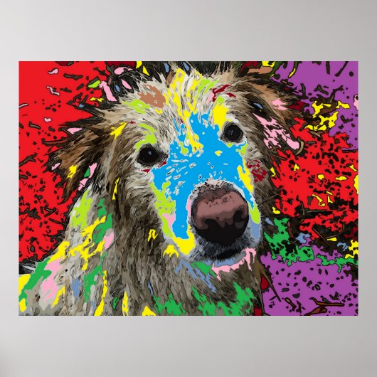 Een zwerfhond poster (Voorkant)