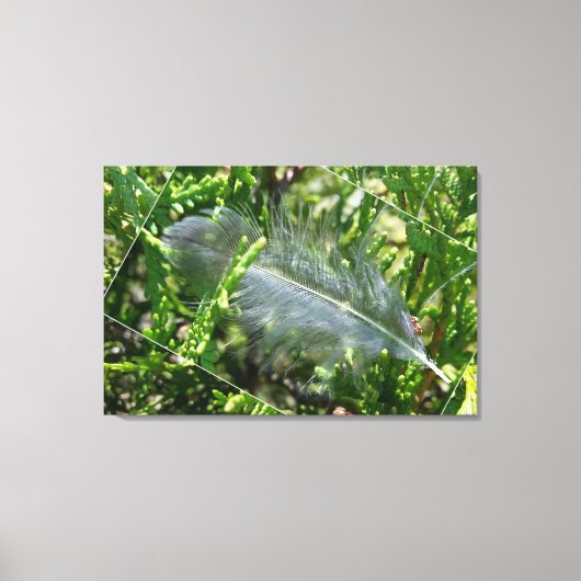Een zwerfveer canvas afdruk (Voorkant)