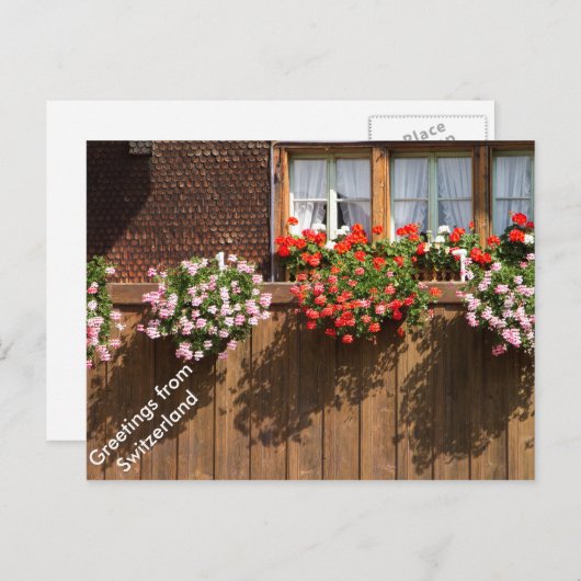 Een Zwitsers bloemetramen Briefkaart (Voorkant / Achterkant)