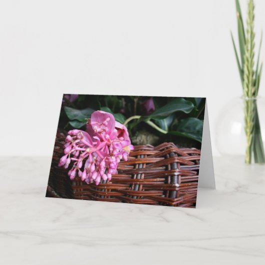 éénbloesem kaart (Voorkant)