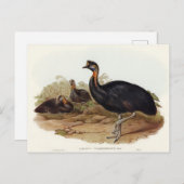Eéncarunculated Cassowary van Elizabeth Gould Briefkaart (Voorkant / Achterkant)