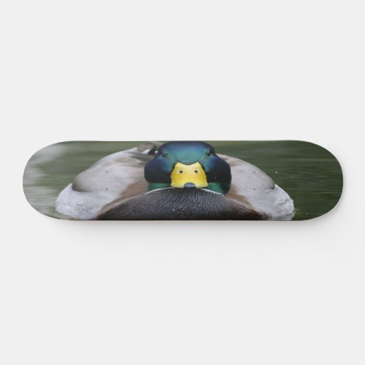 eend 2 schaats skateboard (Horizontaal)