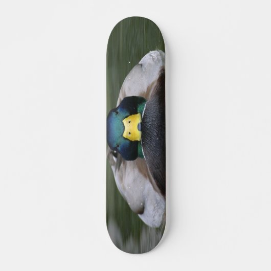 eend 2 schaats skateboard (Voorkant)