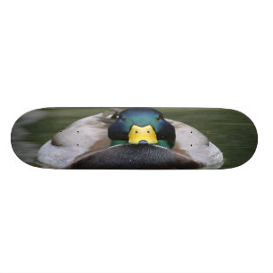 eend 2 schaats skateboard