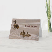 Eend aan de Kaart van het Water (Voorkant)