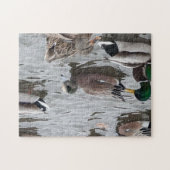 Eend, Amerikaanse Smient, Vogel, Kennewick, WA Legpuzzel (Horizontaal)