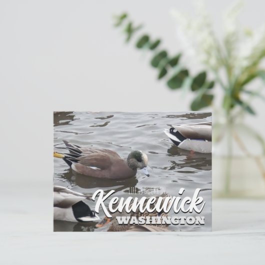 Eend, Amerikaanse Wigeon, Vogel, Kennewick, WA Briefkaart (Staand voorkant)