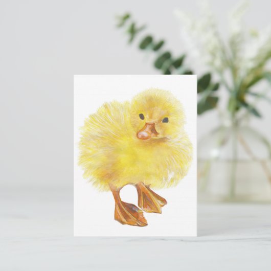 eend, baby chick briefkaart (Staand voorkant)