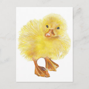 eend, baby chick briefkaart