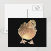 Eend, Boerderij dier, huisdier Briefkaart (Voorkant / Achterkant)