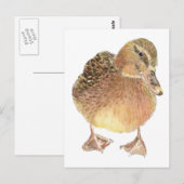 Eend, Boerderij dier, huisdier Briefkaart (Voorkant / Achterkant)