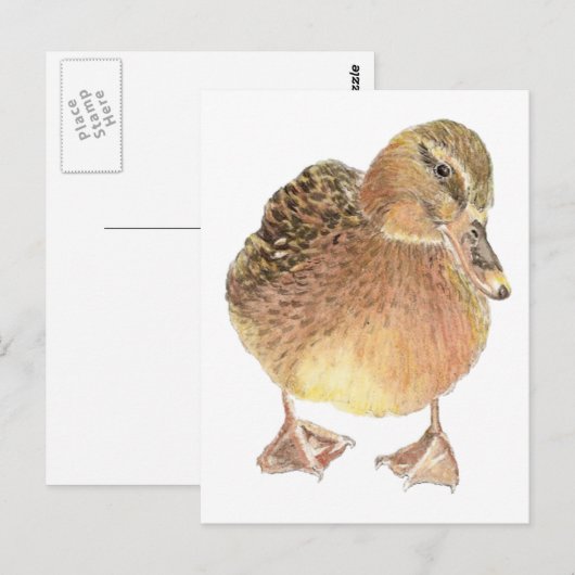 Eend, Boerderij dier, huisdier Briefkaart (Voorkant / Achterkant)