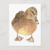 Eend, Boerderij dier, huisdier Briefkaart (Voorkant)