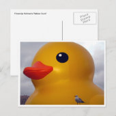 eend briefkaart (Voorkant / Achterkant)