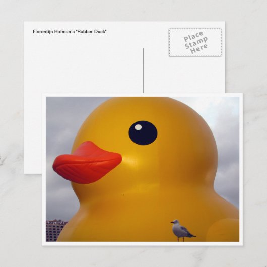 eend briefkaart (Voorkant / Achterkant)